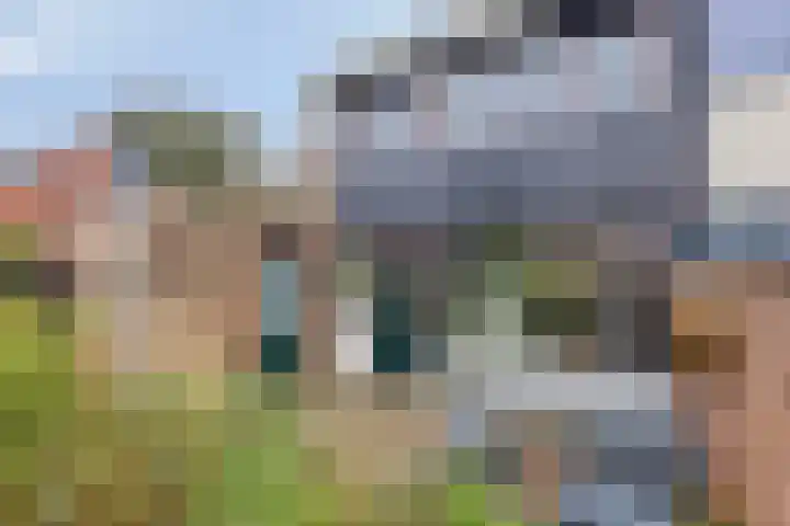 Dollardlaan 26 Scheemda thumbnail 22