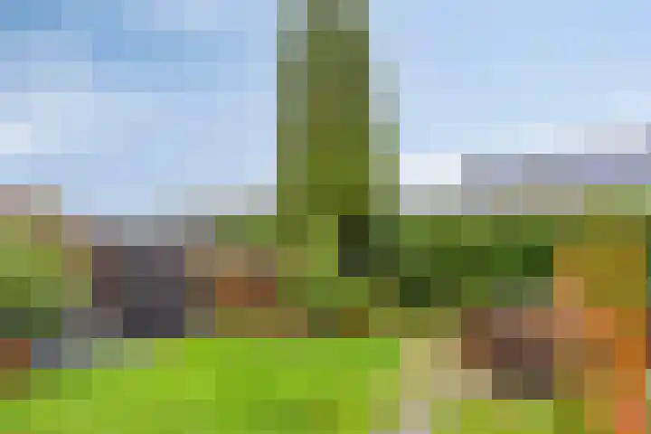 Dollardlaan 26 Scheemda thumbnail 24