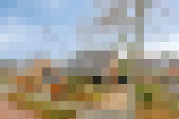 Dollardlaan 26 Scheemda thumbnail 25