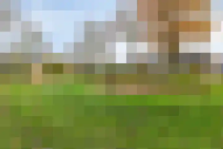 Dollardlaan 26 Scheemda thumbnail 27