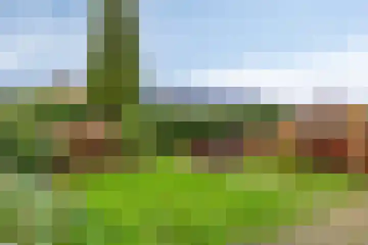 Dollardlaan 26 Scheemda thumbnail 4