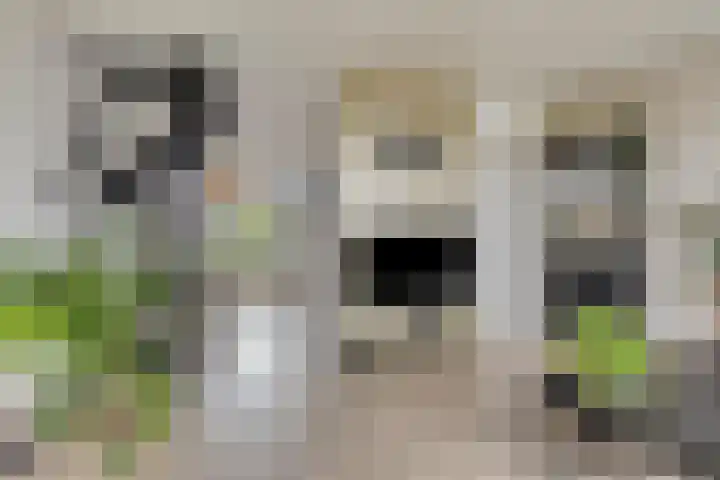 Dollardlaan 26 Scheemda thumbnail 8