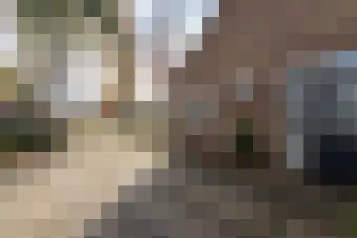 Dollardlaan 30 Scheemda thumbnail 12