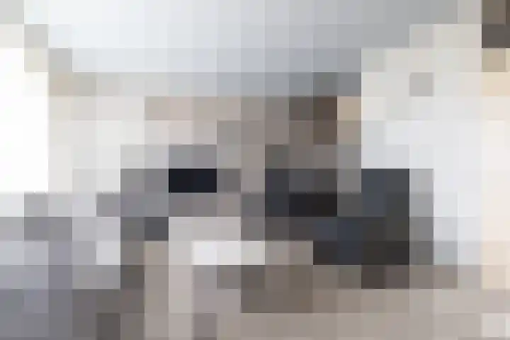 Dollardlaan 30 Scheemda thumbnail 17