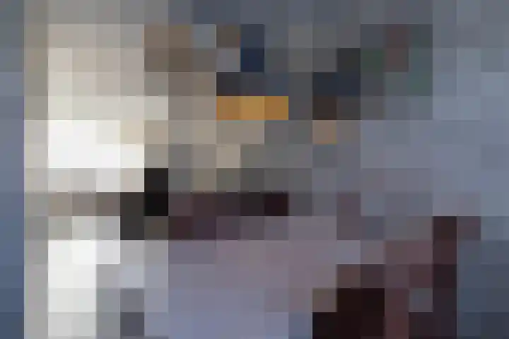 Dollardlaan 30 Scheemda thumbnail 21