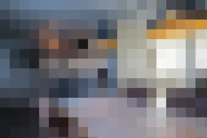 Dollardlaan 30 Scheemda thumbnail 22