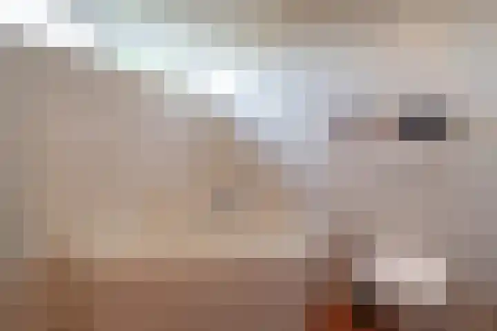 Dollardlaan 30 Scheemda thumbnail 35