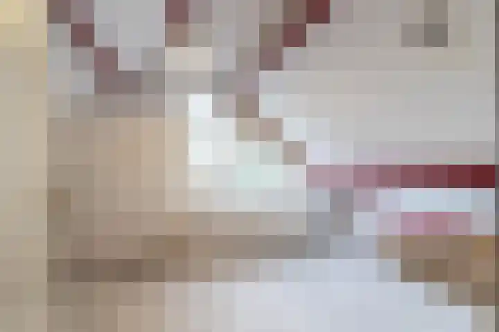 Dollardlaan 30 Scheemda thumbnail 36