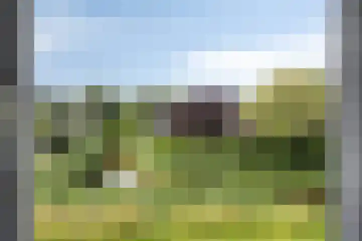 Dollardlaan 80 Scheemda thumbnail 14