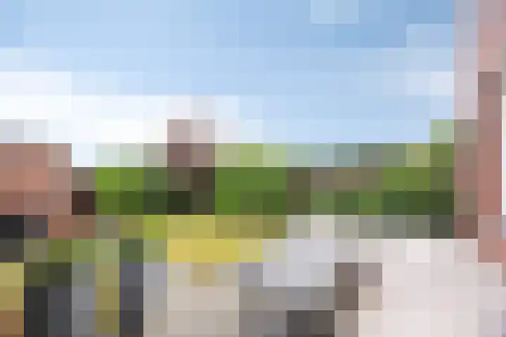 Dollardlaan 80 Scheemda thumbnail 22