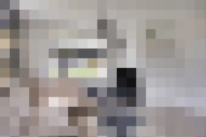Dollardlaan 80 Scheemda thumbnail 5
