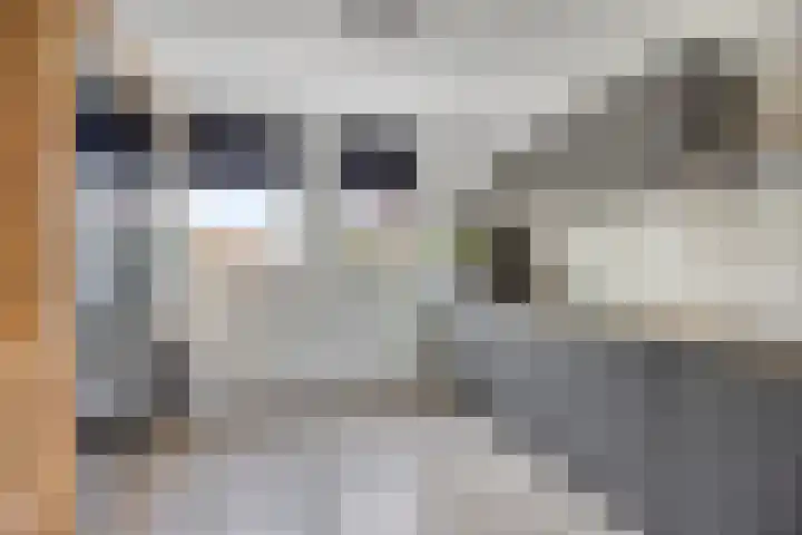 Dollardlaan 80 Scheemda thumbnail 7