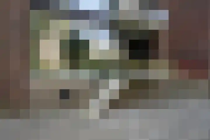 Dollardpad 1 Amsterdam thumbnail 11
