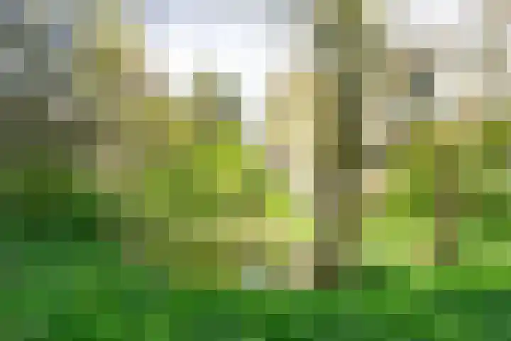 Dollardpad 1 Amsterdam thumbnail 13