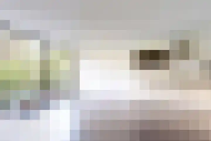 Dollardpad 1 Amsterdam thumbnail 14