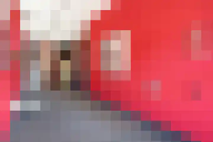 Dollardpad 1 Amsterdam thumbnail 26