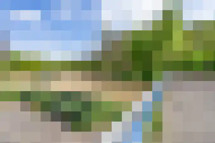 Dollardpad 1 Amsterdam thumbnail 30