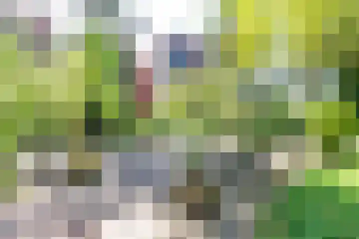 Dollardpad 1 Amsterdam thumbnail 31