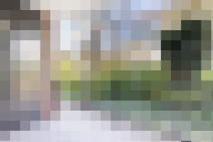 Dollardpad 1 Amsterdam thumbnail 8
