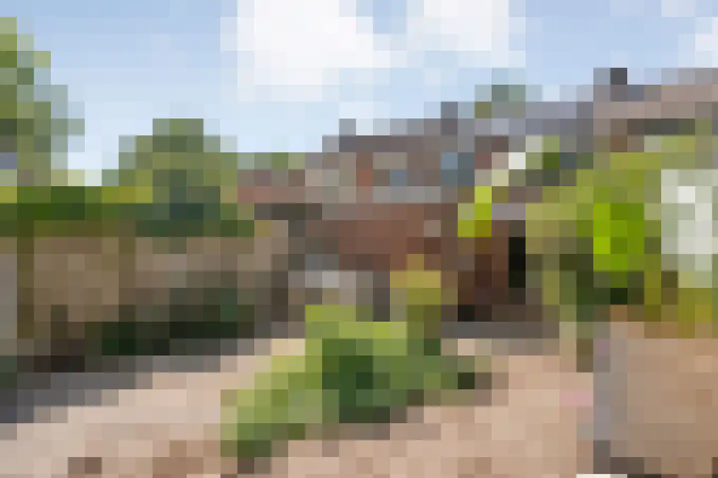 Dollardstraat 12 Enschede thumbnail 40