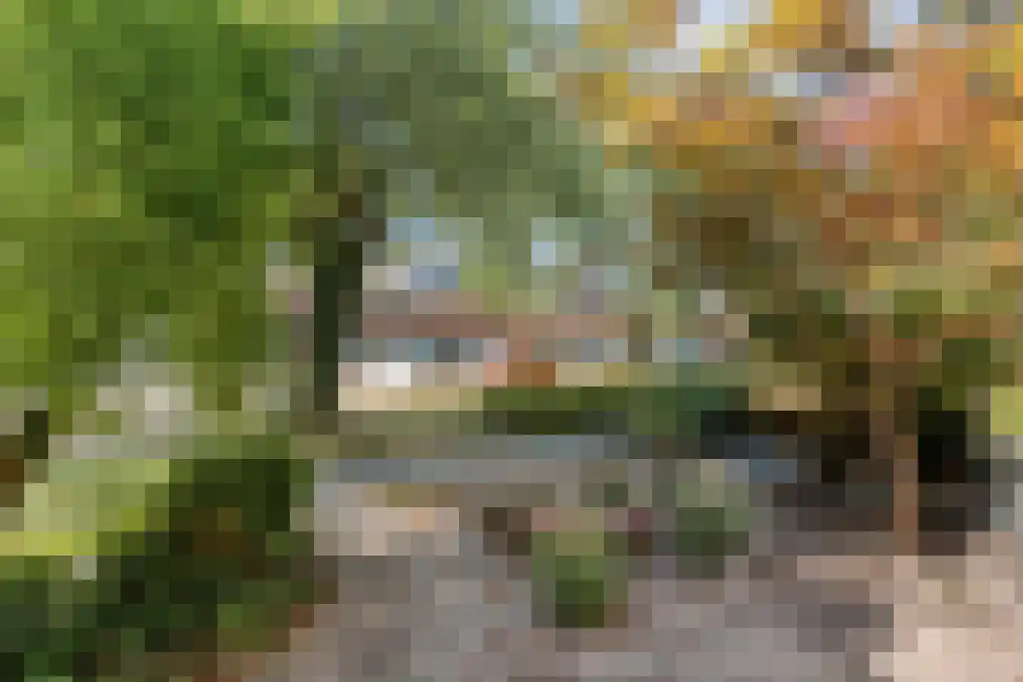 Dollardstraat 12 Enschede thumbnail 8