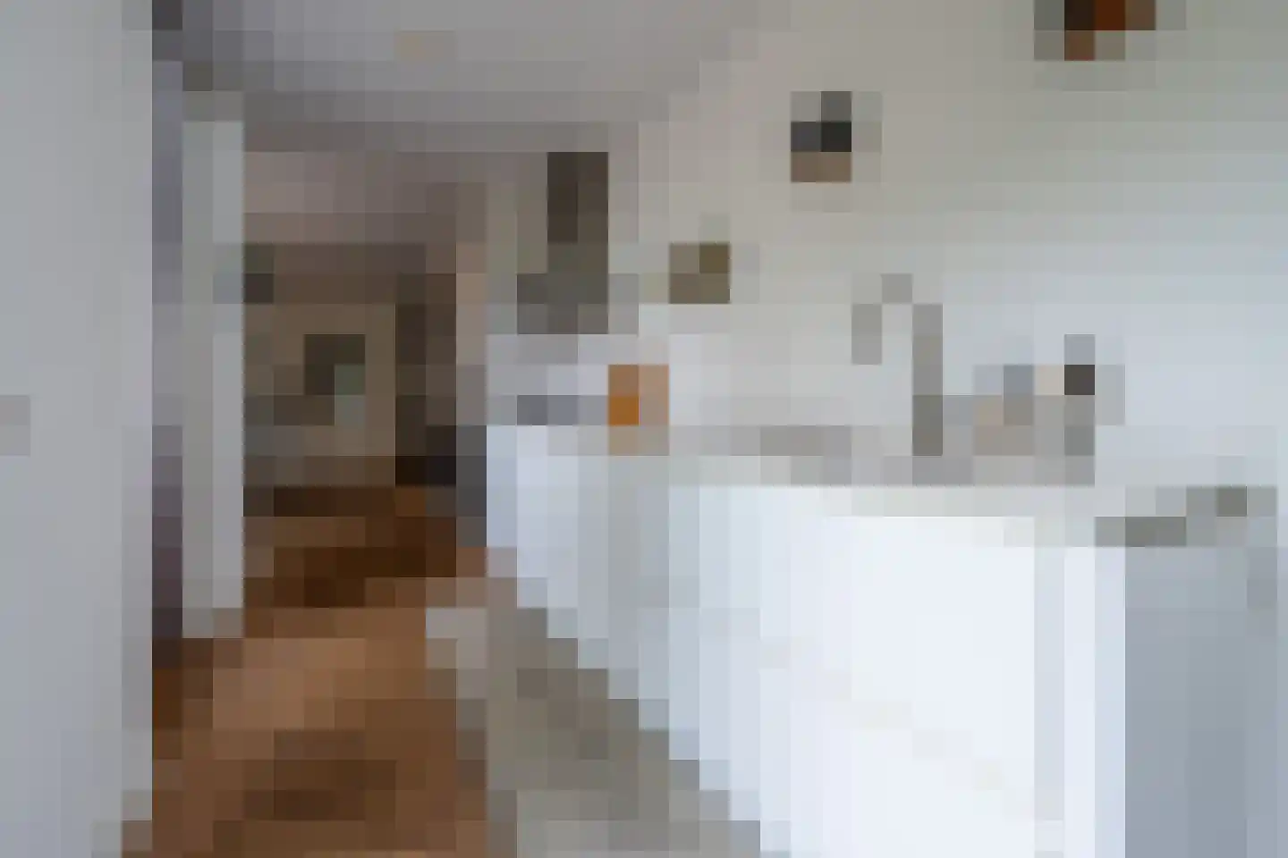 Dollardstraat 130 Amersfoort thumbnail 22