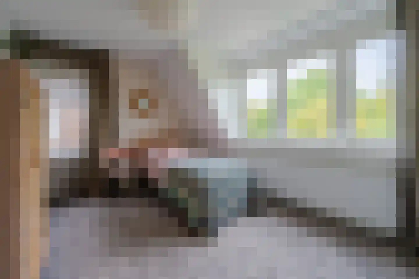 Dollardstraat 130 Amersfoort thumbnail 31