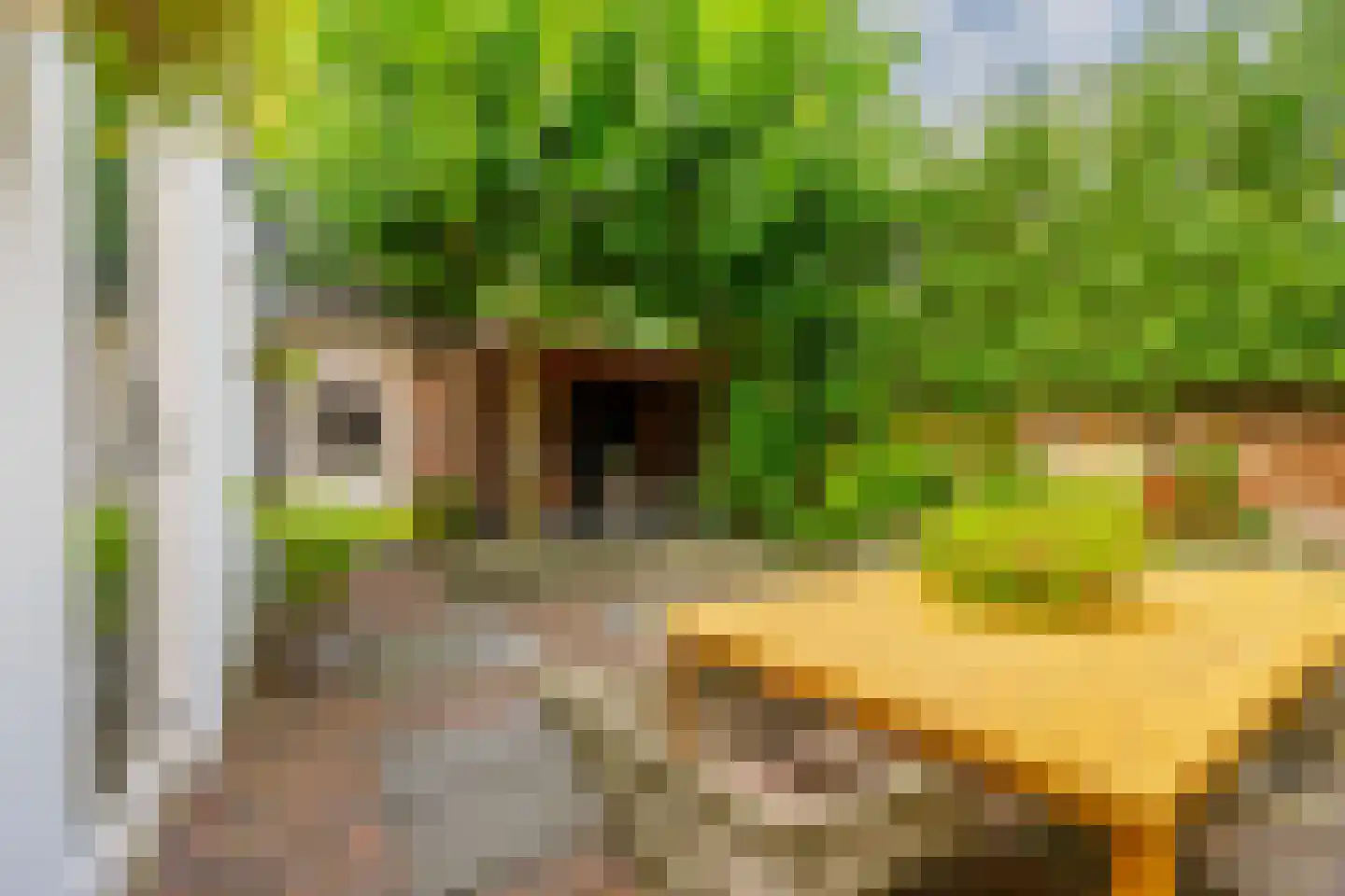 Dollardstraat 130 Amersfoort thumbnail 39