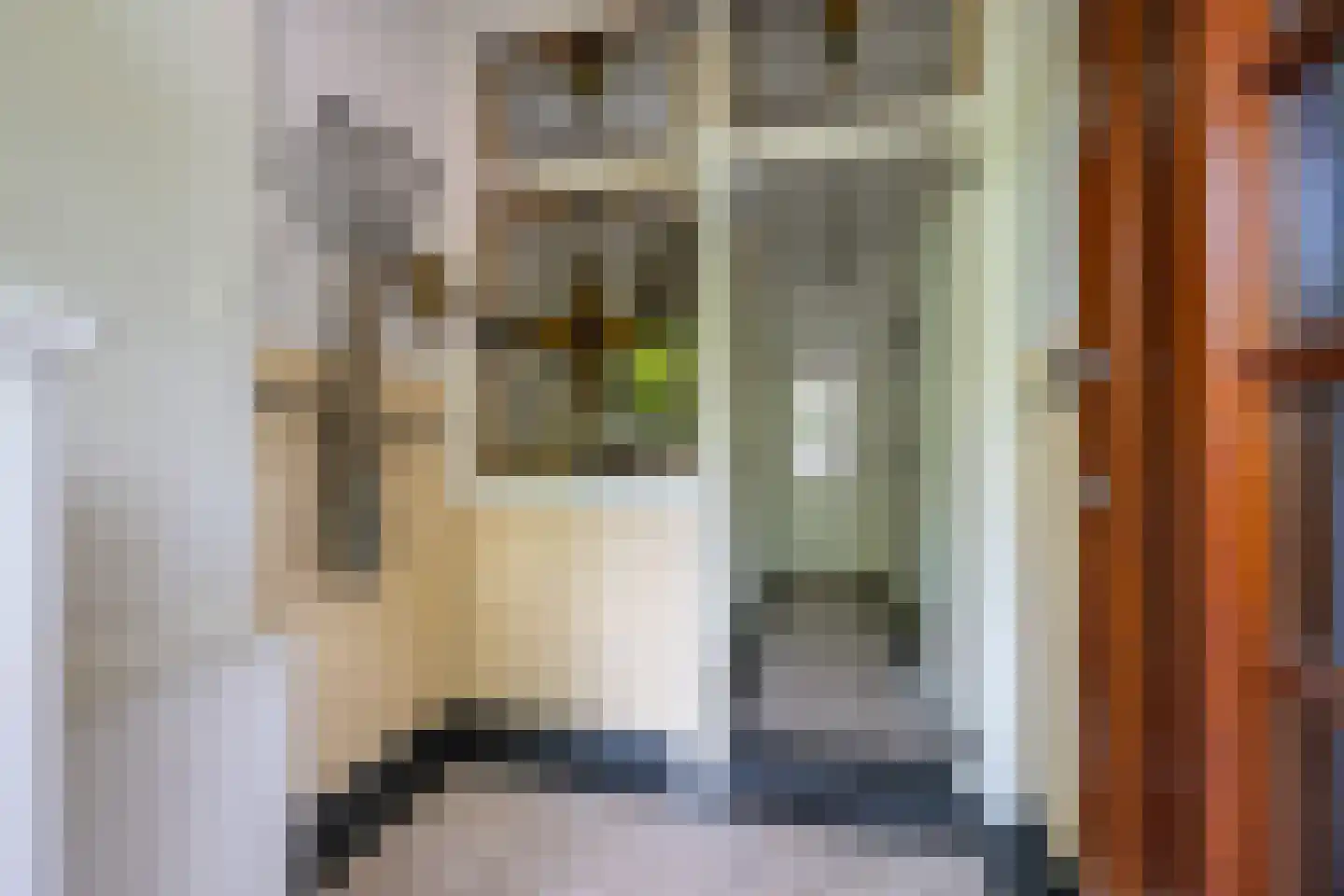 Dollardstraat 130 Amersfoort thumbnail 4