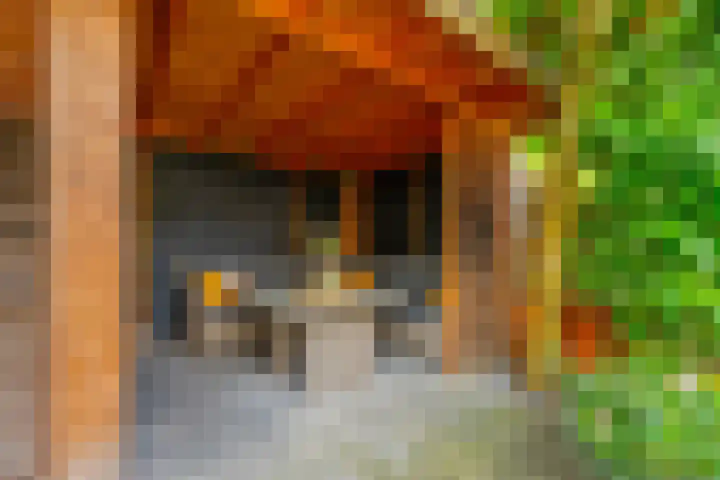 Dollardstraat 130 Amersfoort thumbnail 44