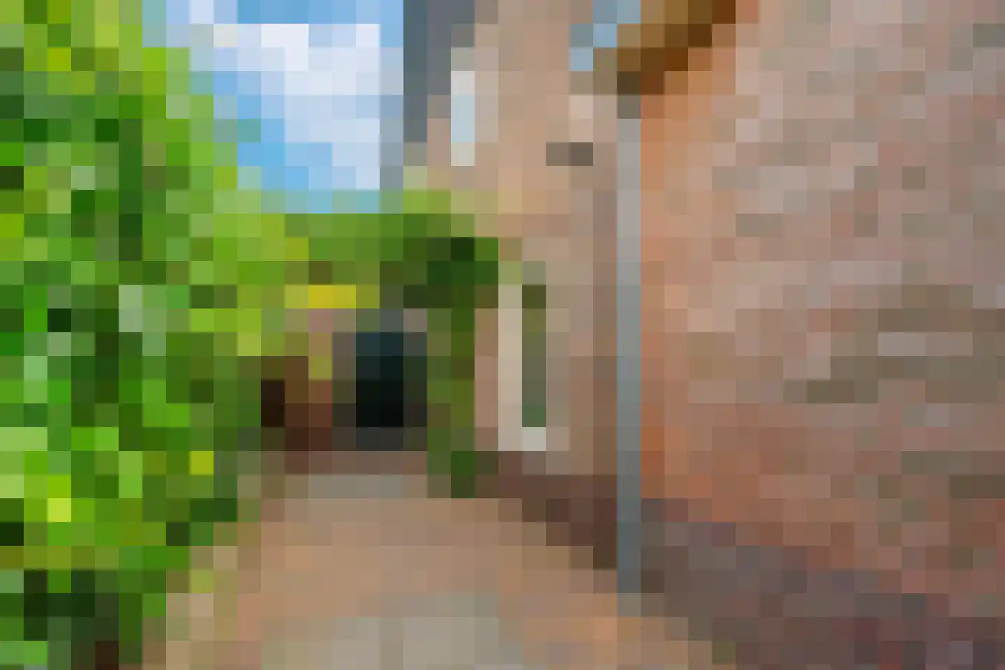 Dollardstraat 130 Amersfoort thumbnail 48