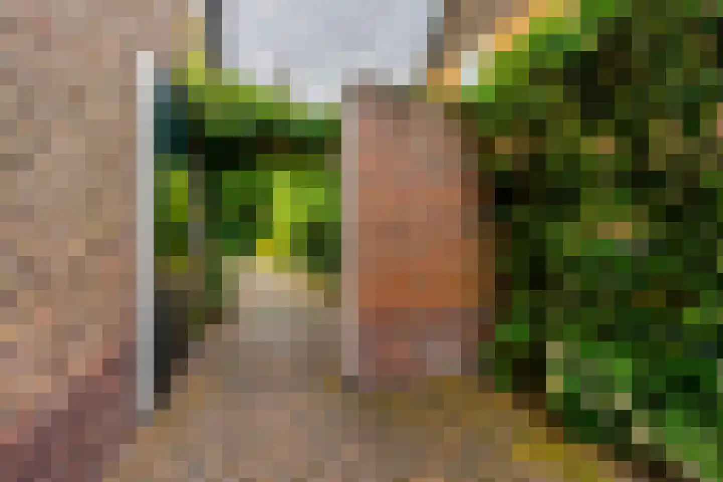 Dollardstraat 130 Amersfoort thumbnail 49