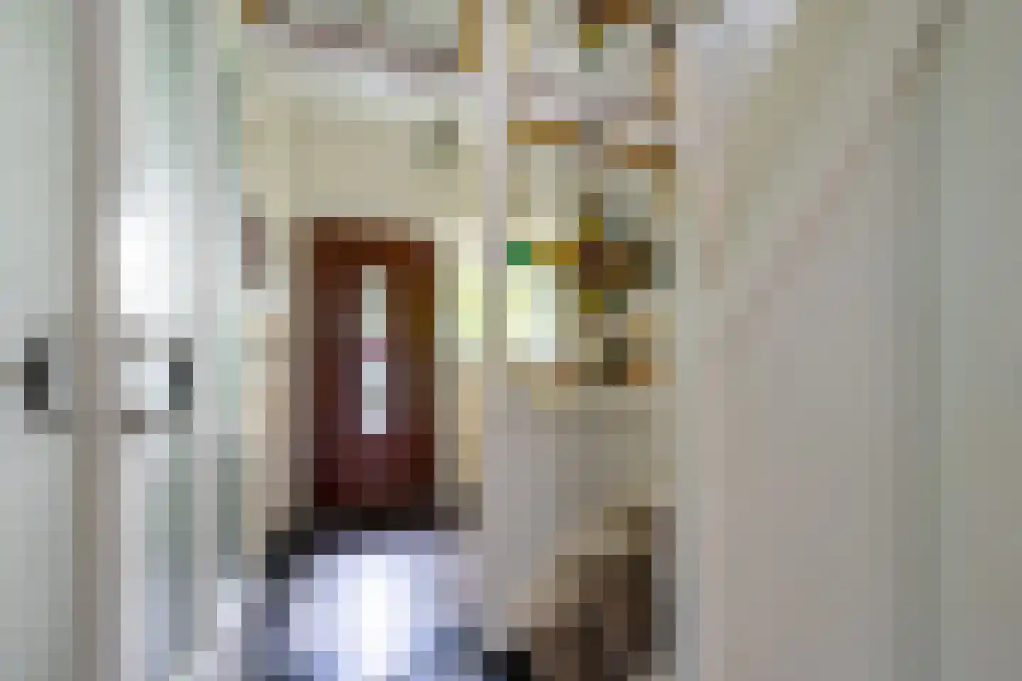 Dollardstraat 130 Amersfoort thumbnail 5