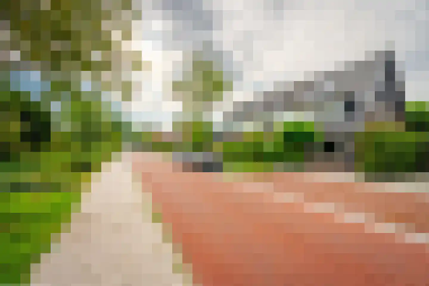 Dollardstraat 130 Amersfoort thumbnail 52