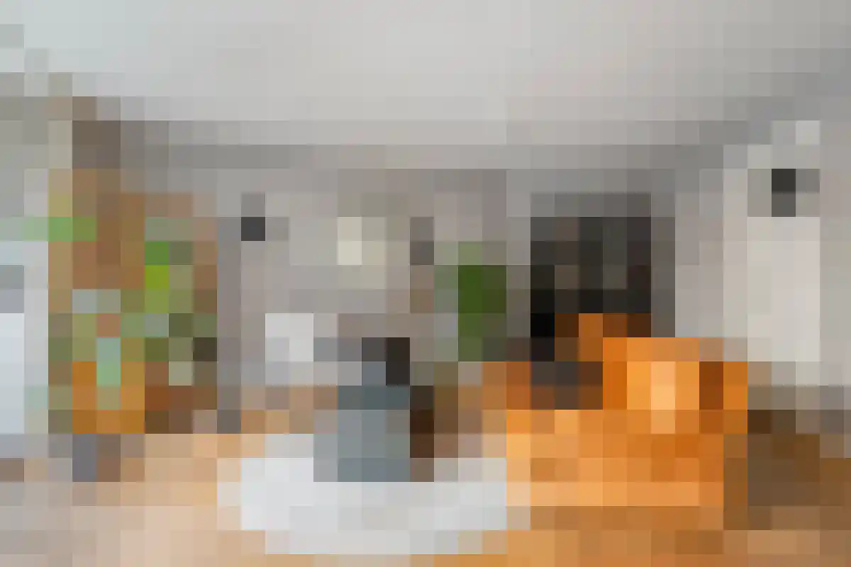 Dollardstraat 2 Utrecht thumbnail 6