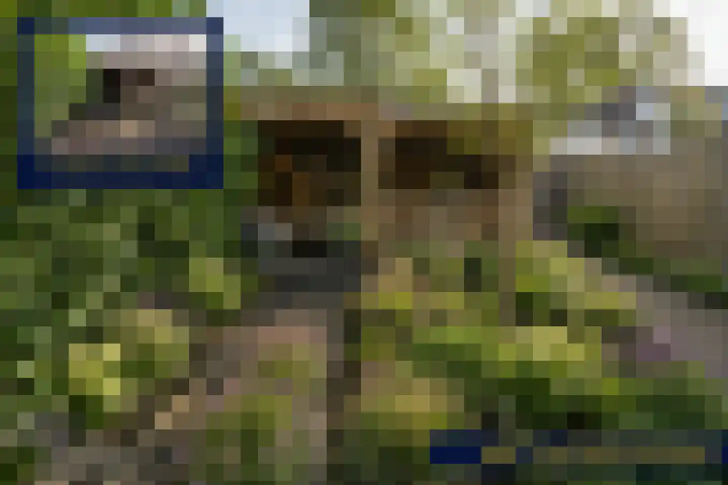 Dollardstraat 20 Enschede thumbnail 18