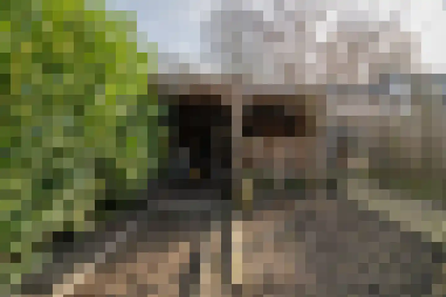 Dollardstraat 20 Enschede thumbnail 19