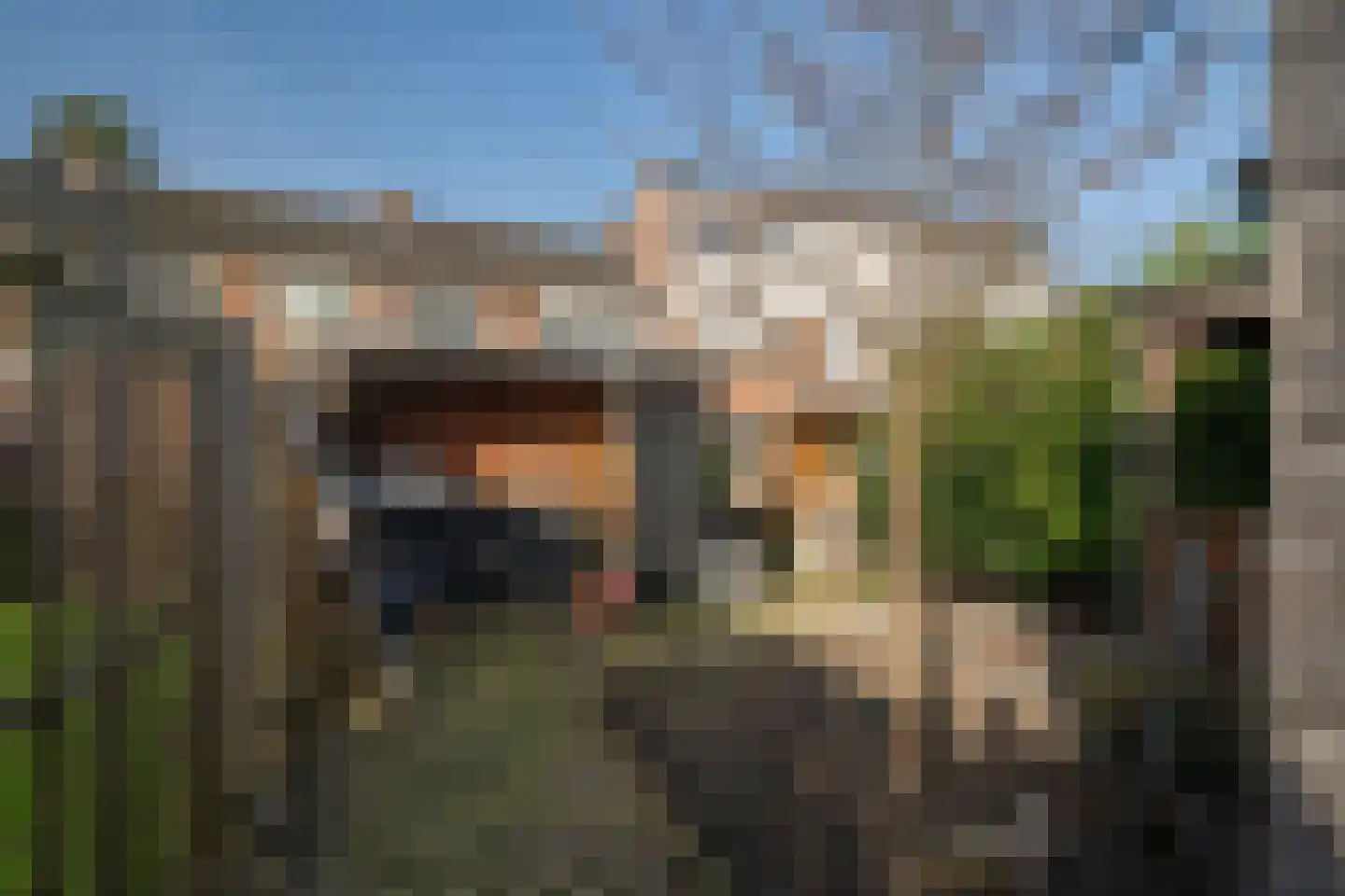 Dollardstraat 20 Enschede thumbnail 4
