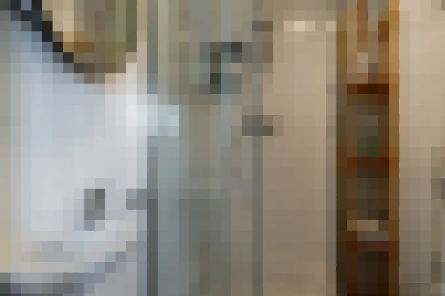 Dollardstraat 3 G Utrecht thumbnail 14