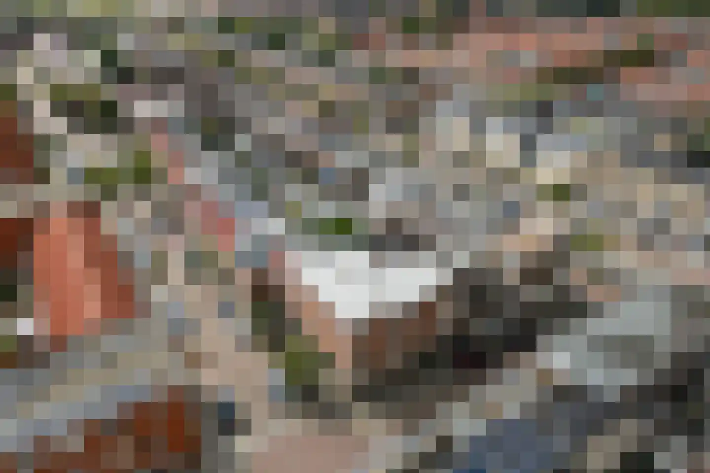 Dollardstraat 3 G Utrecht thumbnail 18
