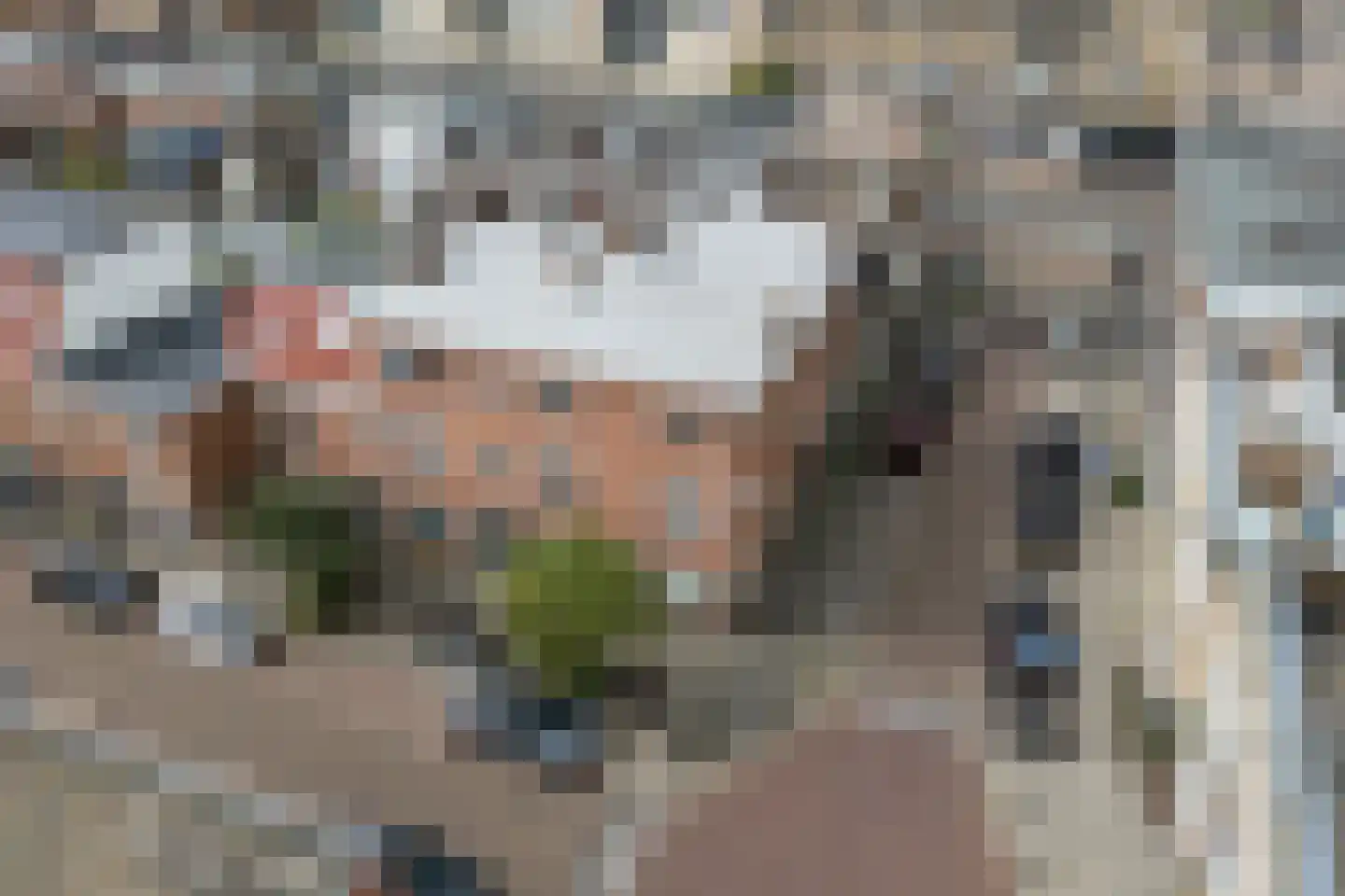 Dollardstraat 3 G Utrecht thumbnail 19
