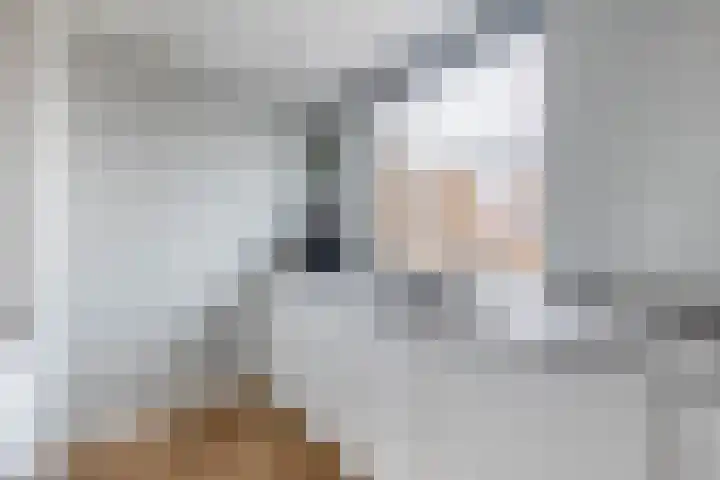 Dollardstraat 4 Utrecht thumbnail 13