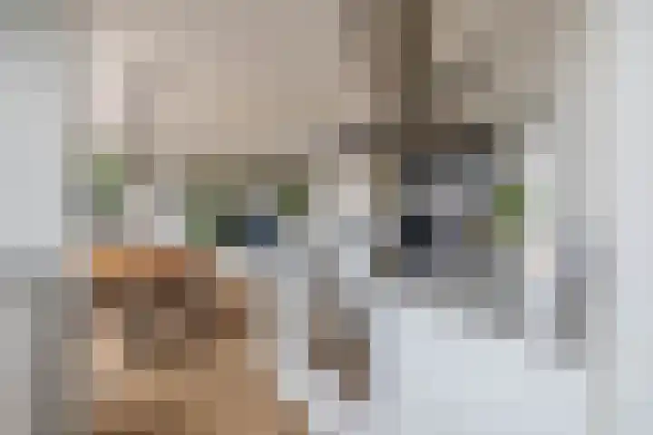 Dollardstraat 4 Utrecht thumbnail 14