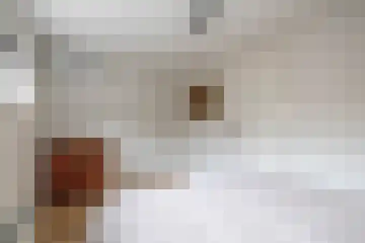 Dollardstraat 4 Utrecht thumbnail 26