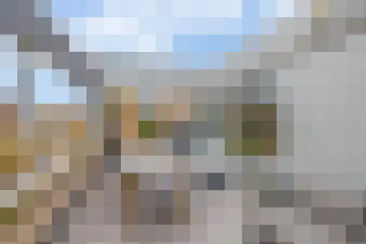 Dollardstraat 4 Utrecht thumbnail 4