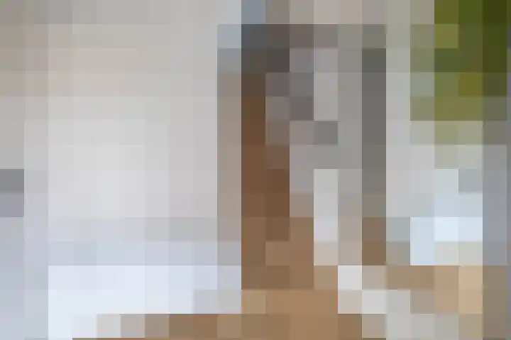 Dollardstraat 4 Utrecht thumbnail 6