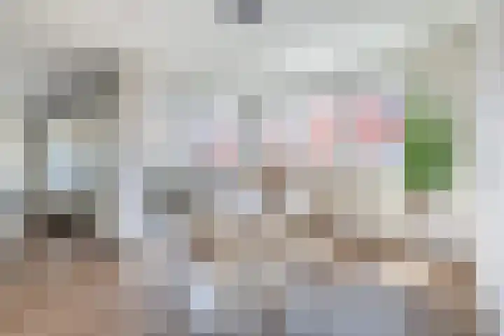 Dollardstraat 44 Utrecht thumbnail 10