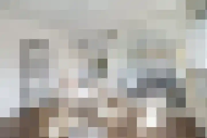 Dollardstraat 44 Utrecht thumbnail 11