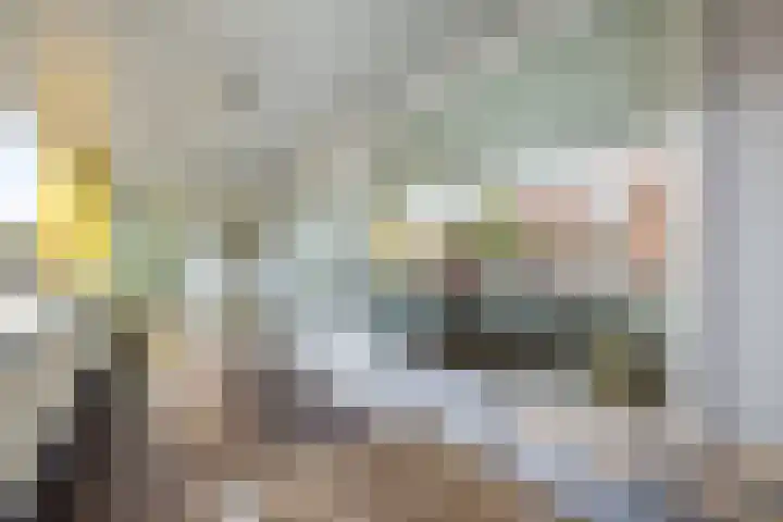 Dollardstraat 44 Utrecht thumbnail 13