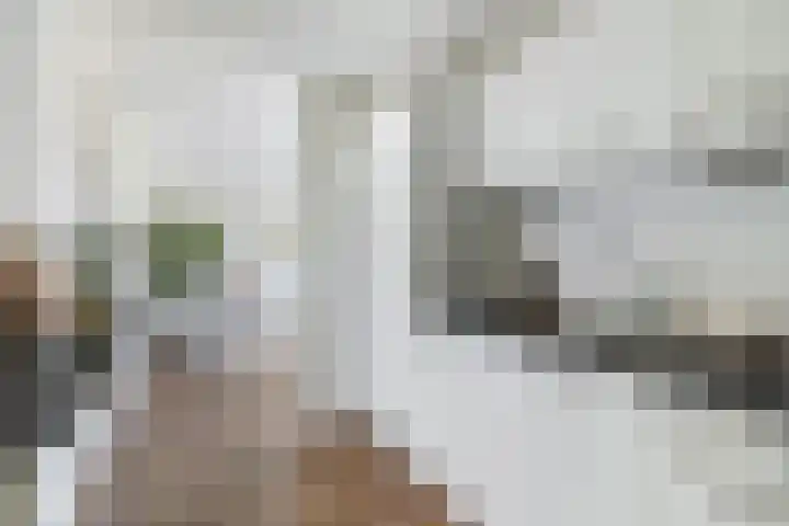 Dollardstraat 44 Utrecht thumbnail 17